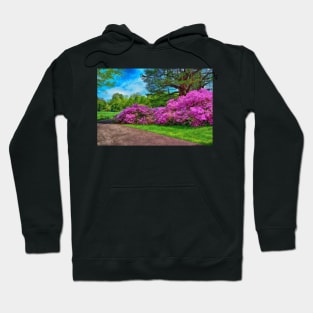 Cascade In Pink Hoodie